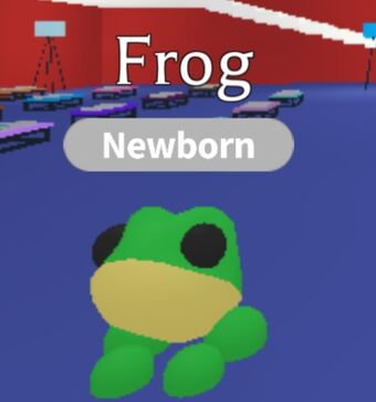 Frog Adopt Me Wiki Fandom - adopt me roblox aussie eggs