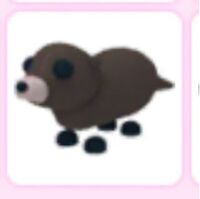 Otter Adopt Me Wiki Fandom