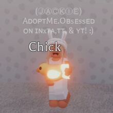 Chick Adopt Me Wiki Fandom