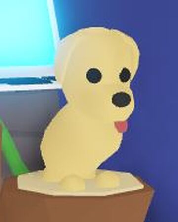 Dog Adopt Me Wiki Fandom - roblox adopt me pet toys