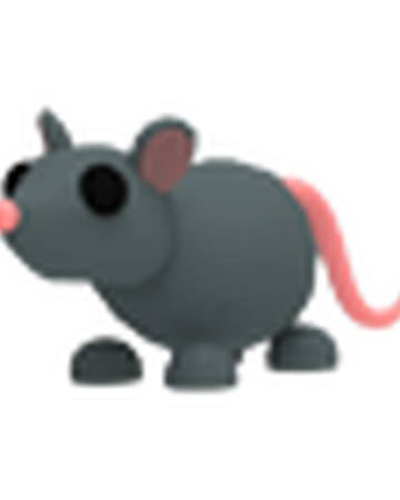 Rat Adopt Me Wiki Fandom - adopt me pets pictures roblox