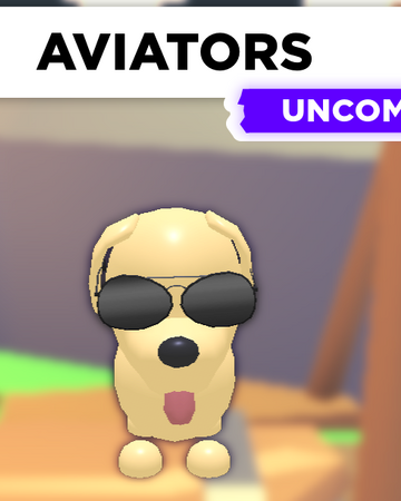 Aviators Adopt Me Wiki Fandom