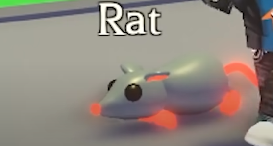 Rat | Adopt Me! Wiki | Fandom