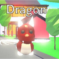 Pictures Of Roblox Adopt Me Dragon