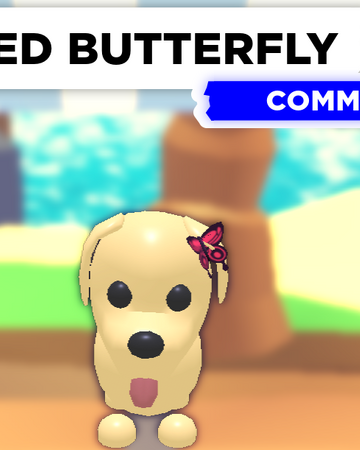 Red Butterfly Adopt Me Wiki Fandom