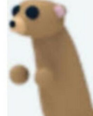 Meerkat Adopt Me Wiki Fandom