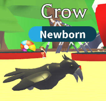 Crow Adopt Me Legendary Pets Drawing