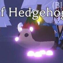 Hedgehog Adopt Me Wiki Fandom