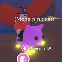 Pink Cat Adopt Me Wiki Fandom