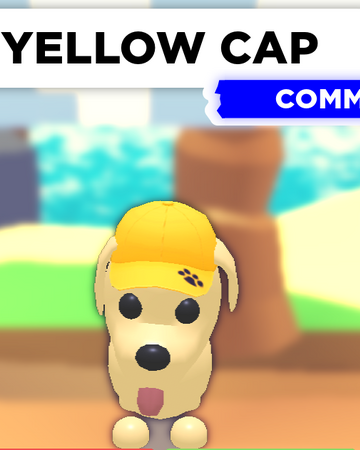 Yellow Cap Adopt Me Wiki Fandom