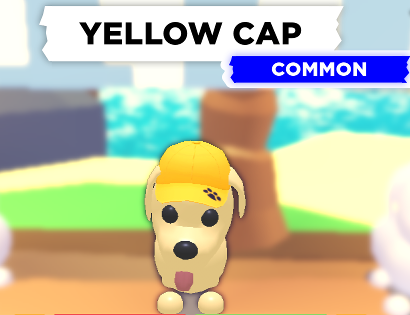 Yellow Cap | Adopt Me! Wiki | Fandom