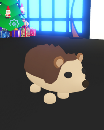 Hedgehog Adopt Me Wiki Fandom