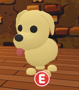 Perro Adopt Me Roblox Wiki Fandom - mascotas de adopt me roblox fotos