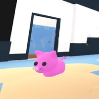 Pink Cat Adopt Me Wiki Fandom