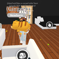 tort cu roblox adopt me Ginger Cat Adopt Me Wiki Fandom
