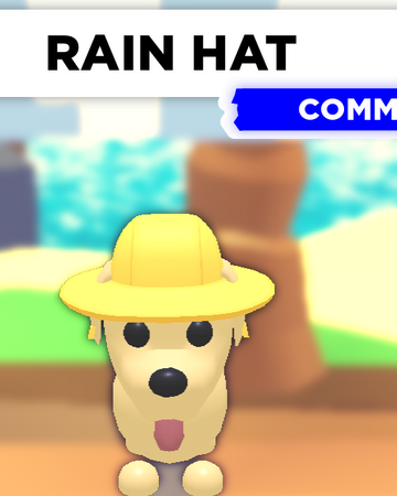 Rain Hat Adopt Me Wiki Fandom