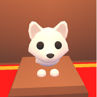 Arctic Fox Adopt Me Wiki Fandom
