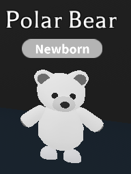 Nfr Brown Bear Adopt Me