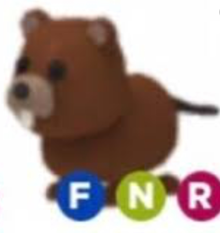 Roblox Adopt Me Pet Bear