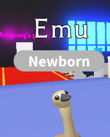 Emu Adopt Me Wiki Fandom