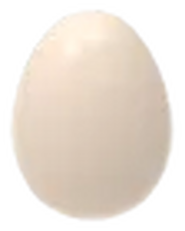 Huevo De Mascota Adopt Me Roblox Wiki Fandom - huevo secreto con mascota todos los huevos de adopt me roblox