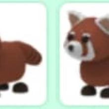 Adopt Me Red Panda Pictures