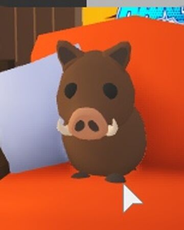 Brown Bear Adopt Me Roblox