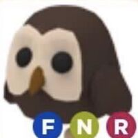 Owl Adopt Me Wiki Fandom