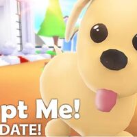 Fotos De Las Mascotas De Adopt Me Roblox