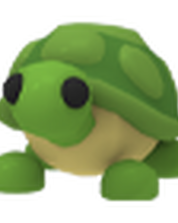Turtle Adopt Me Wiki Fandom