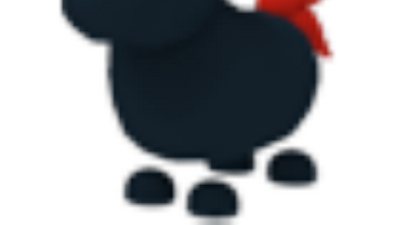 Kjzxrfb3kzcfpm