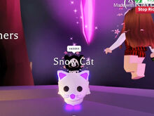 Snow Cat | Adopt Me! Wiki | Fandom