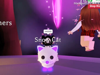 Neon Snow Cat Adopt Me Roblox