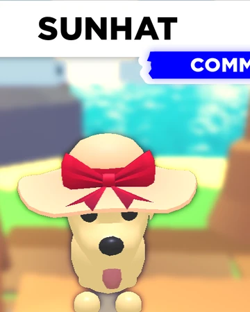 Sunhat Adopt Me Wiki Fandom