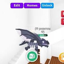 Shadow Dragon-0