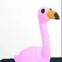 hur man far gratis robux 2020 Flamingo Adopt Me Wiki Fandom