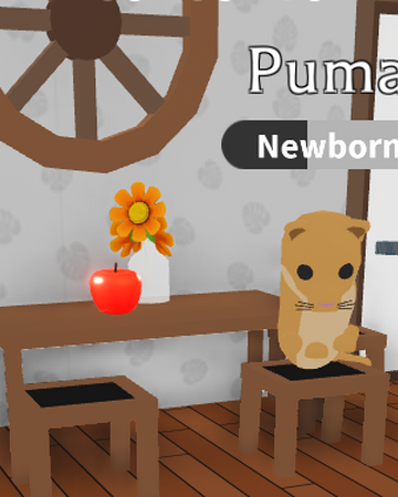 Puma Adopt Me Wiki Fandom - pet furniture roblox adopt me pet room ideas