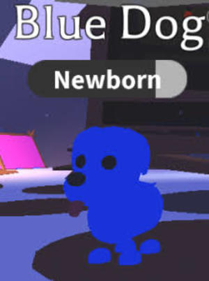 Perro Azul Adopt Me Roblox Wiki Fandom - roblox azul