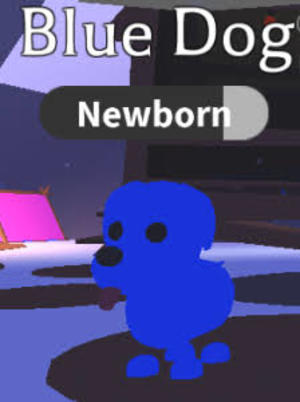 Perro Azul Adopt Me Roblox Wiki Fandom - consigo el perro azul neon adopt me roblox