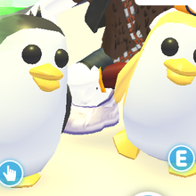 Golden Penguin Adopt Me Wiki Fandom