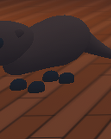 Otter Adopt Me Wiki Fandom