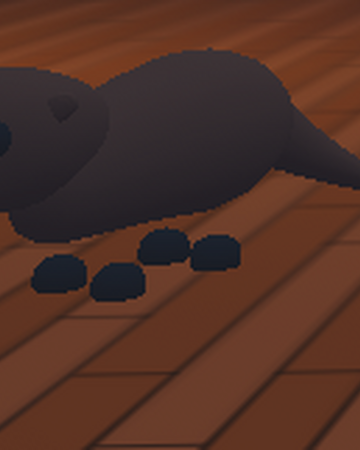 Roblox Otter Adopt Me