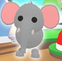Elephant Adopt Me Wiki Fandom