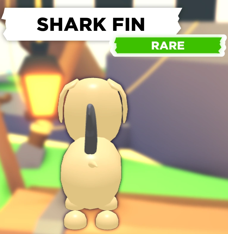 Shark Fin Adopt Me! Wiki Fandom