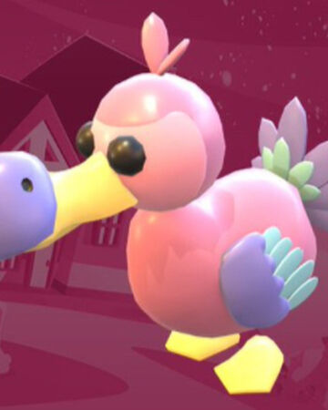 Pink Dodo Adopt Me Wiki Fandom