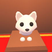 Arctic Foxx