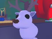 Categoria Mascotas Legendarias Adopt Me Roblox Wiki Fandom