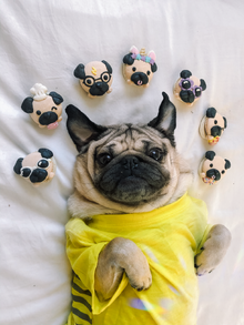 PUG