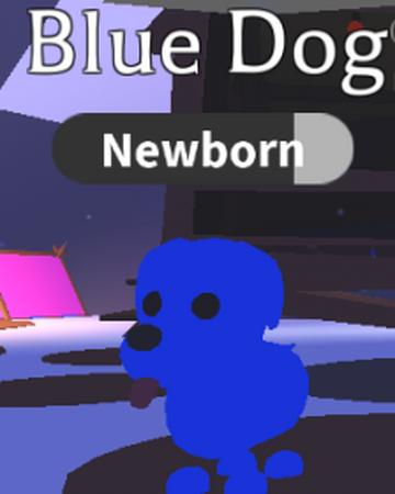 What Is A Blue Dog Worth In Adopt Me 2020