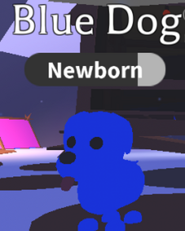 What Is A Normal Blue Dog Worth In Adopt Me